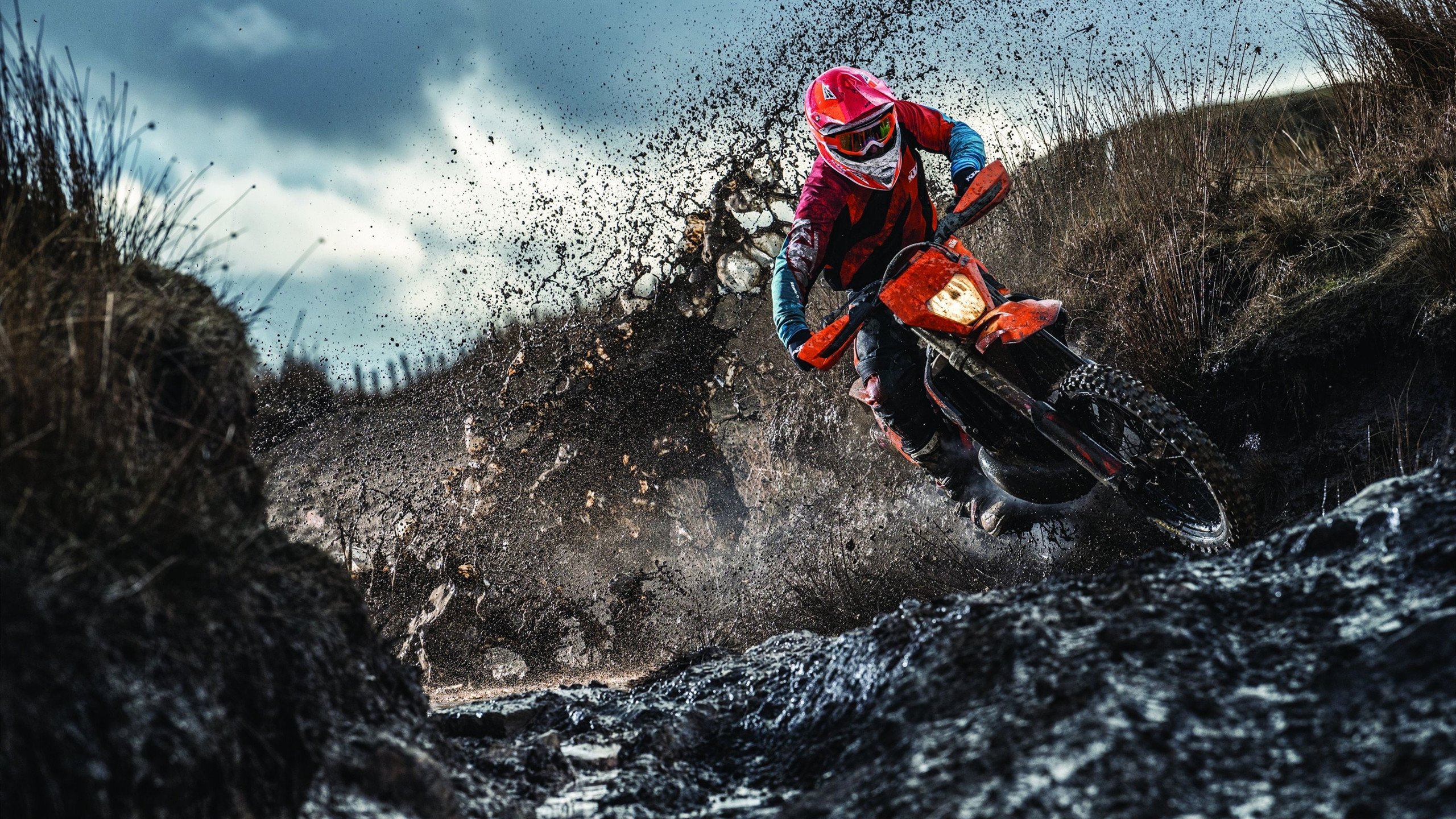 黄鸭组合鸣奏凯歌，高卢雄鸡绝杀日耳曼战车