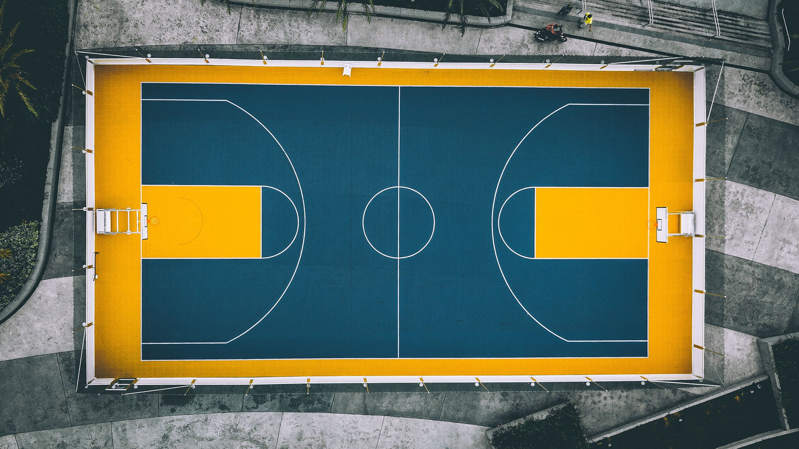孤胆英雄的战术革命,德容如何用防守反击在2026世界杯A组关键战中粉碎奥地利